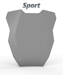 R 1300 GS ve ADV SPOR ÖN CAM ( LIGHT SMOKED )